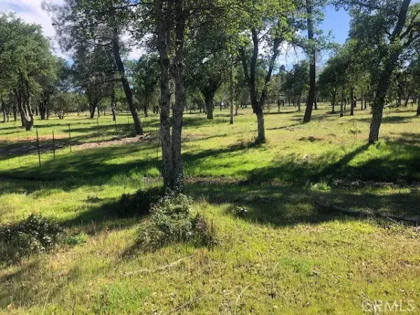 a view of swimming pool with a yard and green space