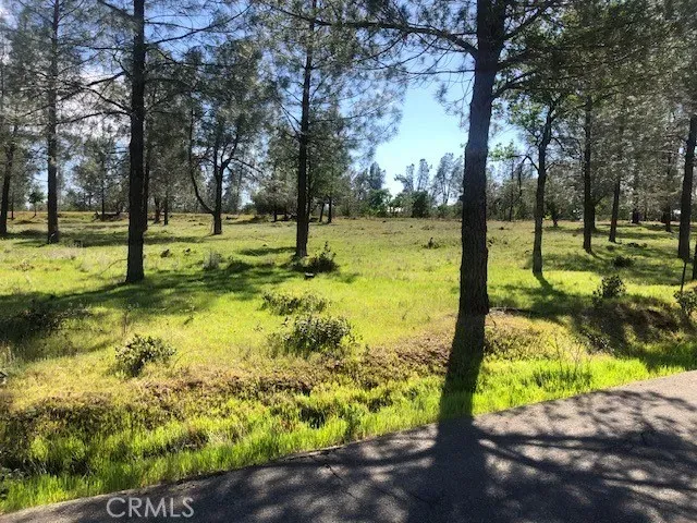 a view of a yard with a tree