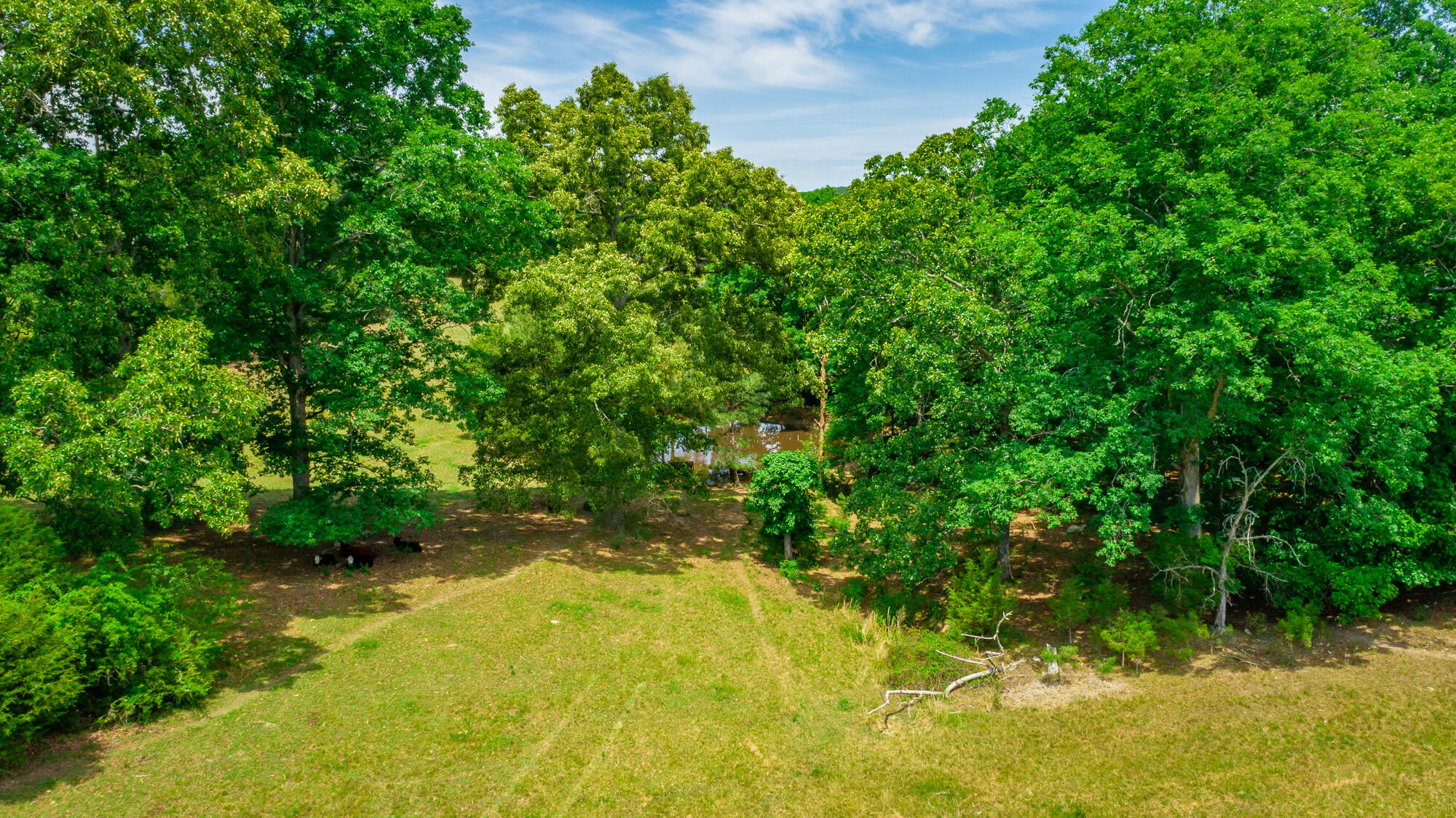7015 B K Ranch Road Georgetown, TN 37336 - Photo 129 of 144 7015 B K RAnch Road HD-196