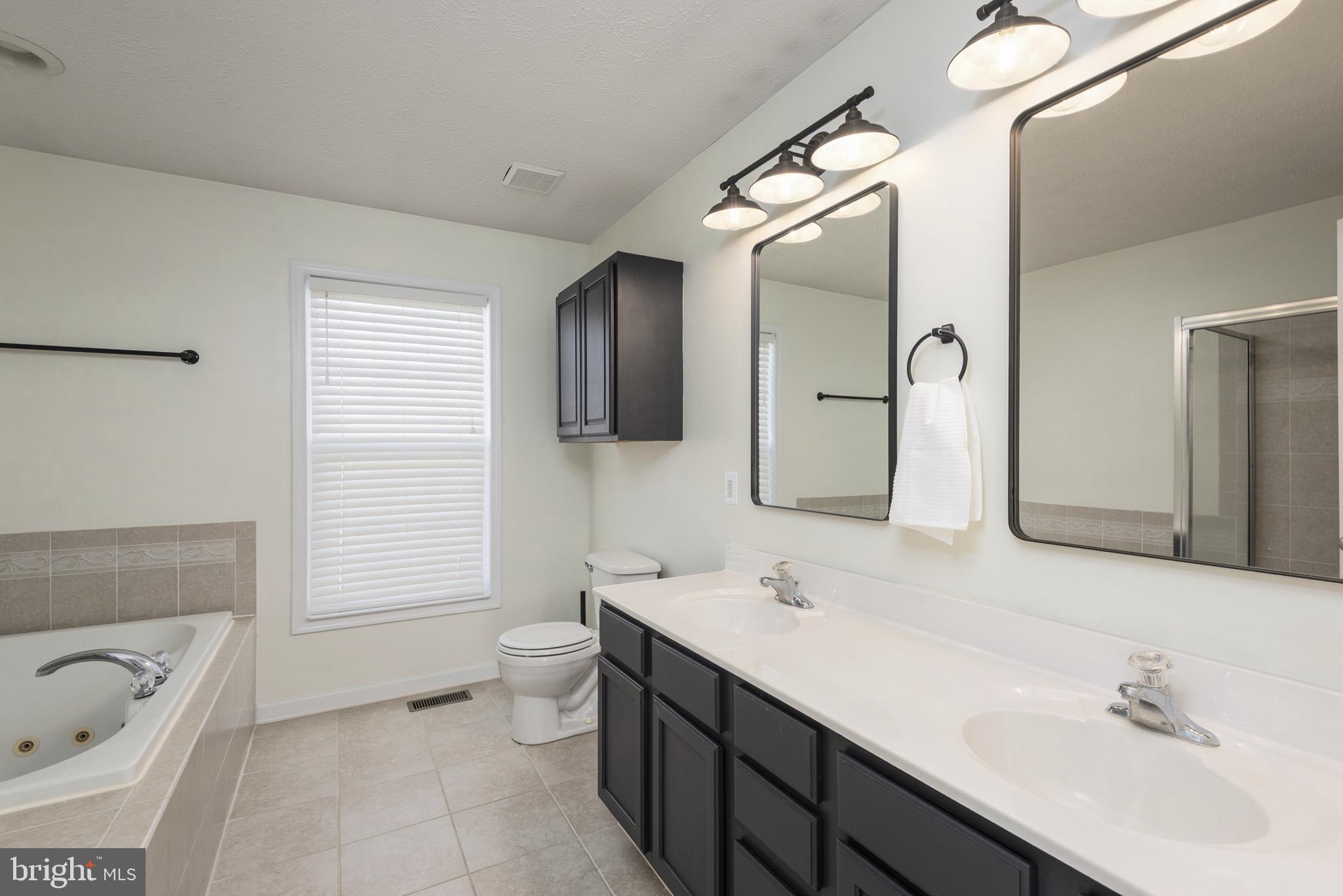 1208 Painted Fern Road Denton, MD 21629 - Photo 31 of 39 a bathroom with a sink a toilet a tub and mirror
