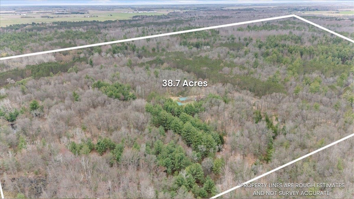 7734 West Partlo Road Whittemore, MI 48770 - Photo 17 of 45