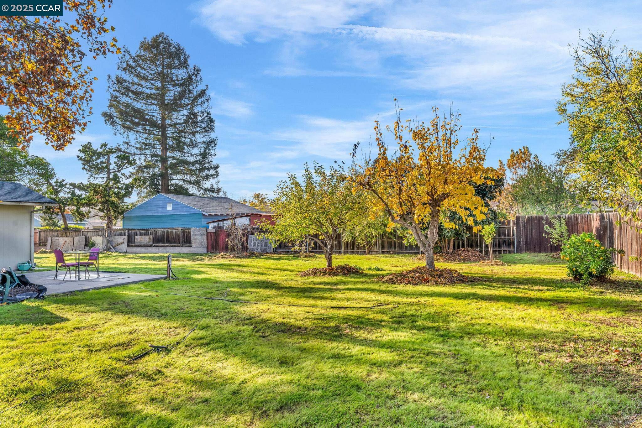 1455 Grove Way Concord, CA 94518 - Photo 38 of 55