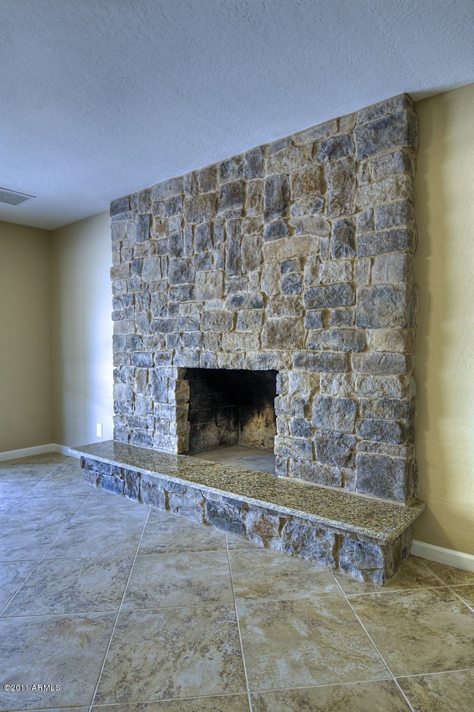 2514 South Terrace Road Tempe, AZ 85282 - Photo 9 of 25 Fireplace_Detail
