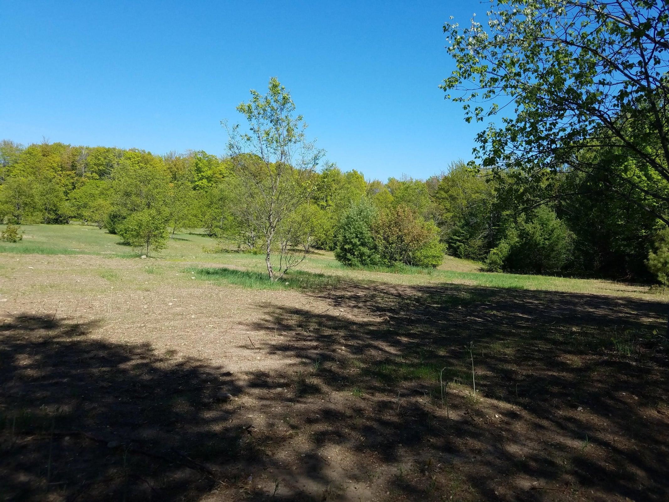 V/l Mancelona Road Gaylord, MI 49735 - Photo 6 of 9