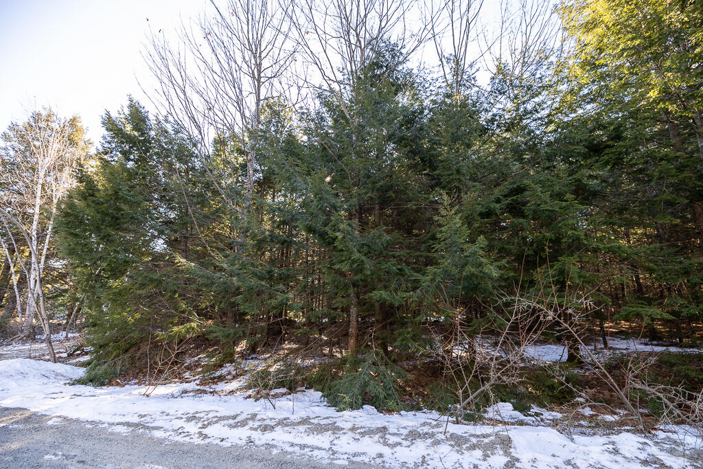 Lot 13-2 Mcgrath Pond Loop Road Belgrade, ME 04917 - Photo 19 of 21 HY3A5005