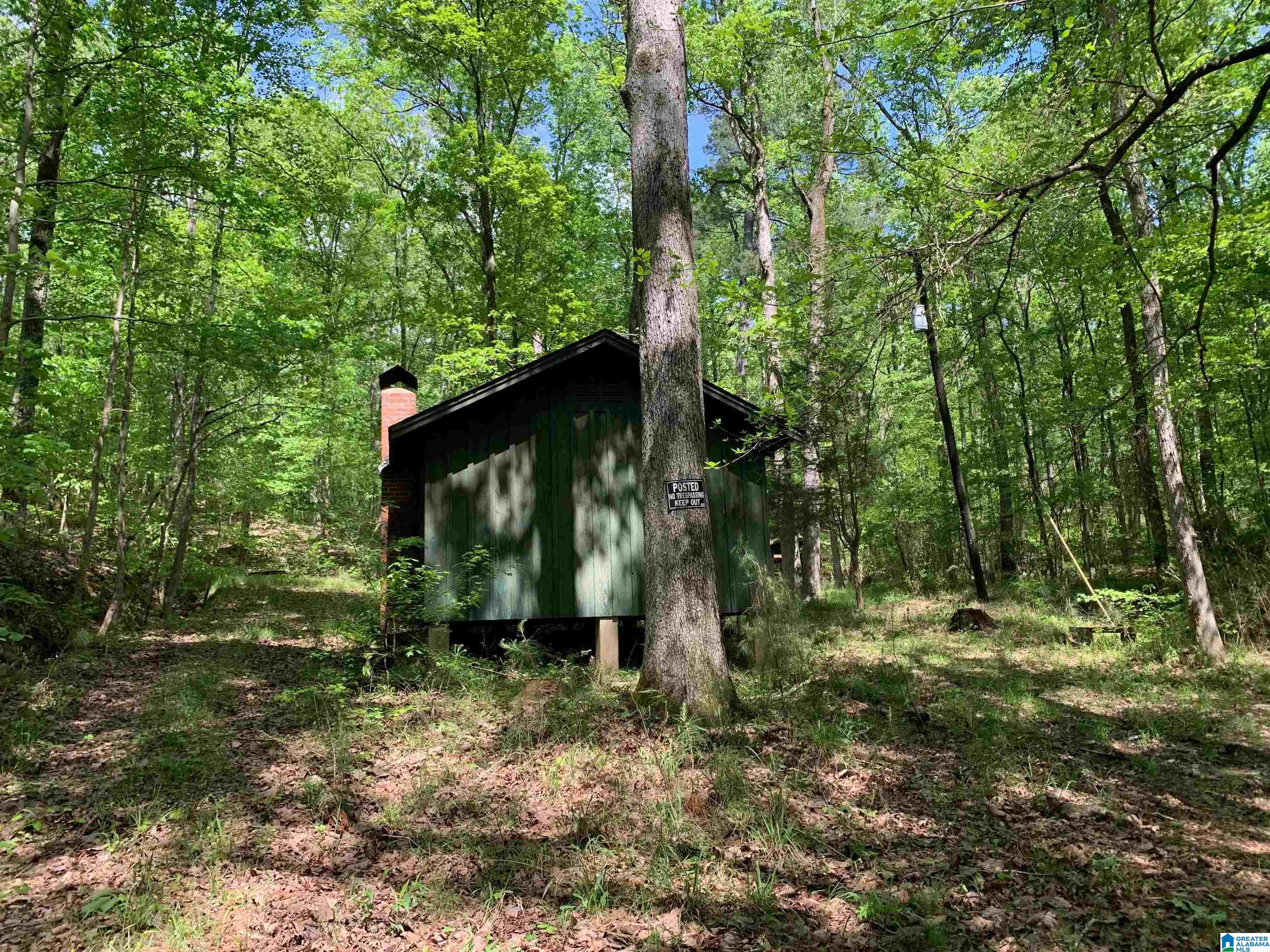 7981 Blackie Curren Road Bessemer, AL 35022 - Photo 9 of 9