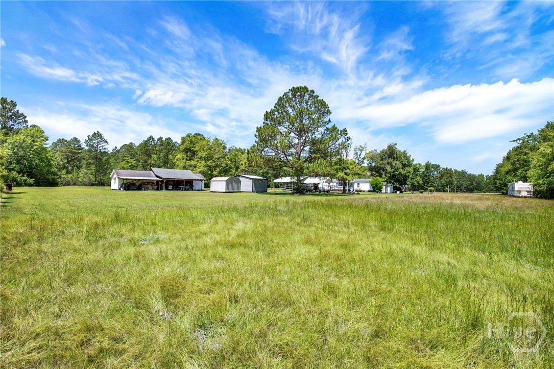 166 Little Horsepen Road Rincon, GA 31326 - Photo 43 of 45