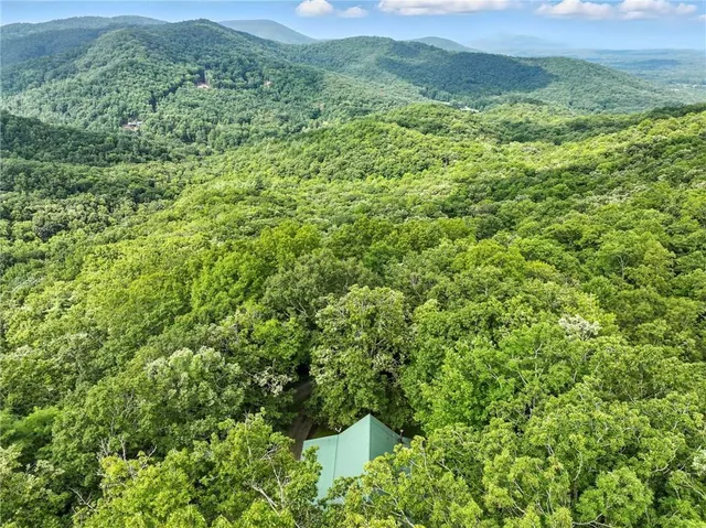 $600,000 | 59 Bear Track Trail, Morganton, GA 30560