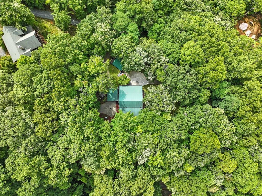 59 Bear Track Trail Morganton, GA 30560 - Photo 35 of 37 a view of a house with a yard and sitting area
