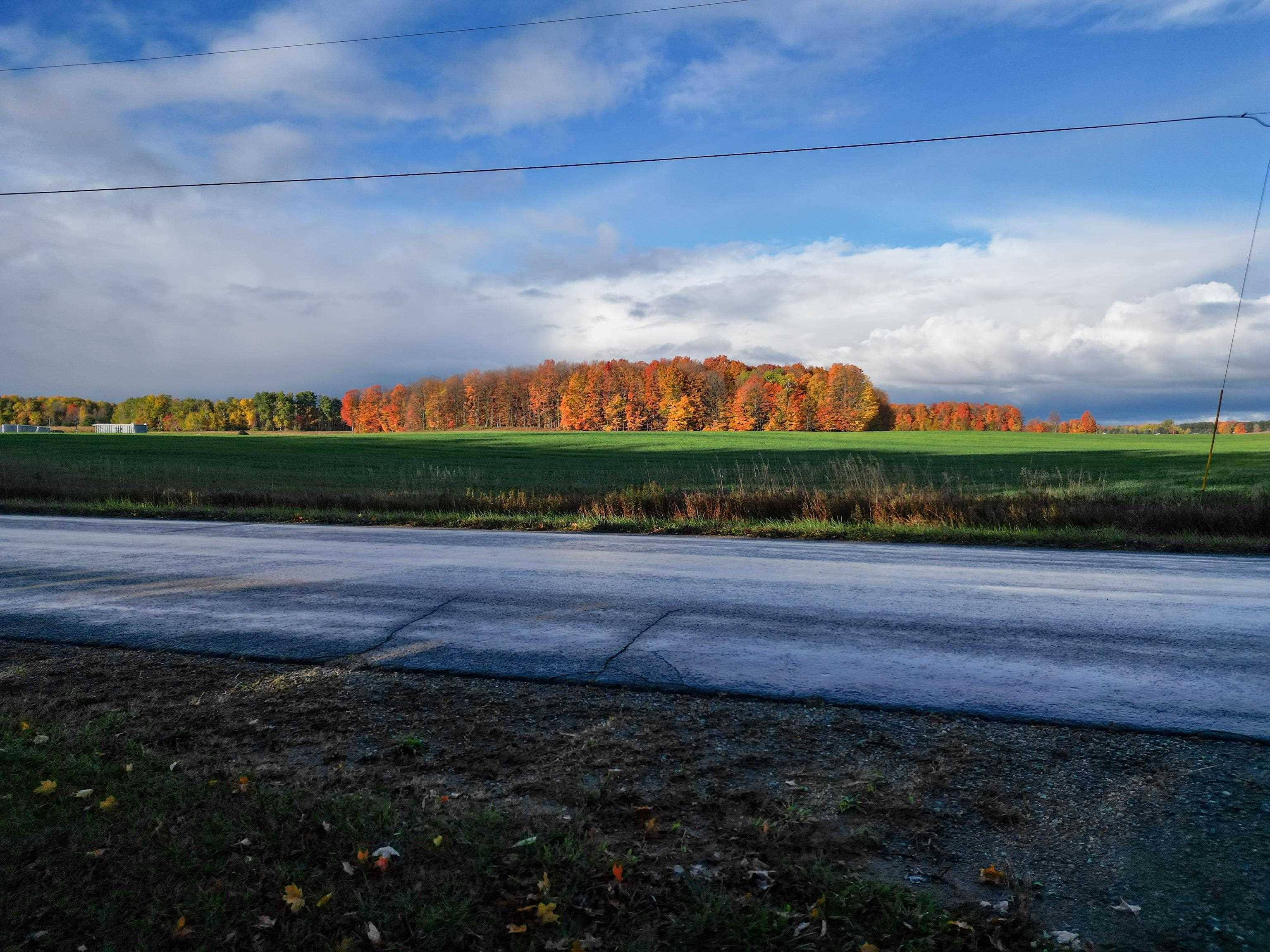 Parcel B Schichtel Road Kingsley, MI 49649 - Photo 11 of 17