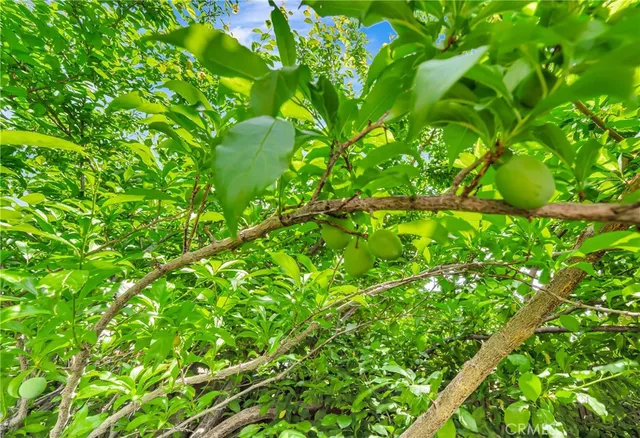 $699,900 | 39884 Golfers Drive, Palmdale, CA 93551