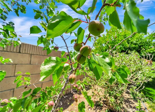 $699,900 | 39884 Golfers Drive, Palmdale, CA 93551