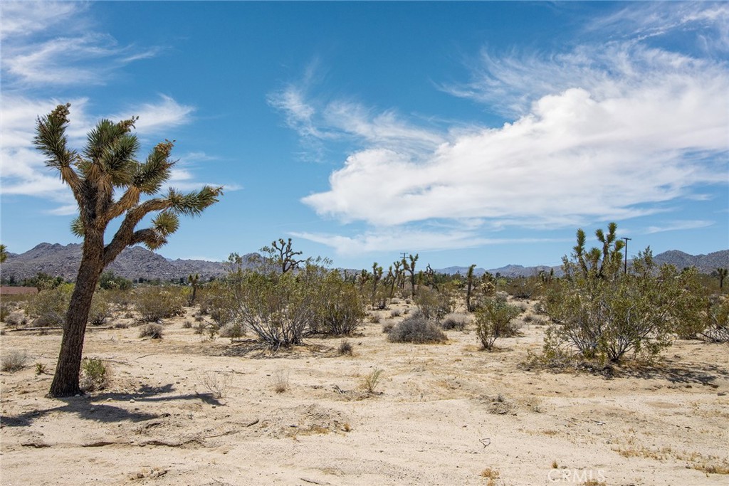 6563 Saddleback Road Joshua Tree, CA 92252 - Photo 2 of 17