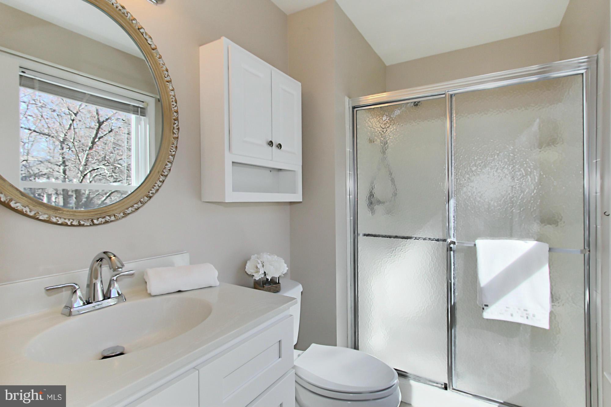 6262 Rathlin Drive Springfield, VA 22152 - Photo 17 of 28 Bath (Master)