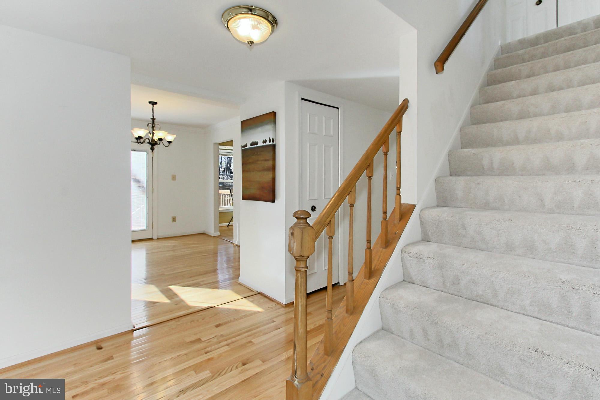 6262 Rathlin Drive Springfield, VA 22152 - Photo 3 of 28 Interior (General)