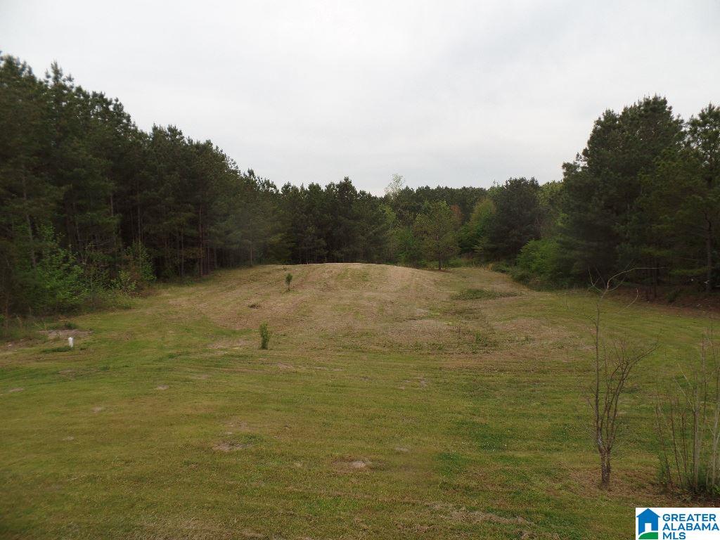 2071 Creel Road Morris, AL 35116 - Photo 25 of 30