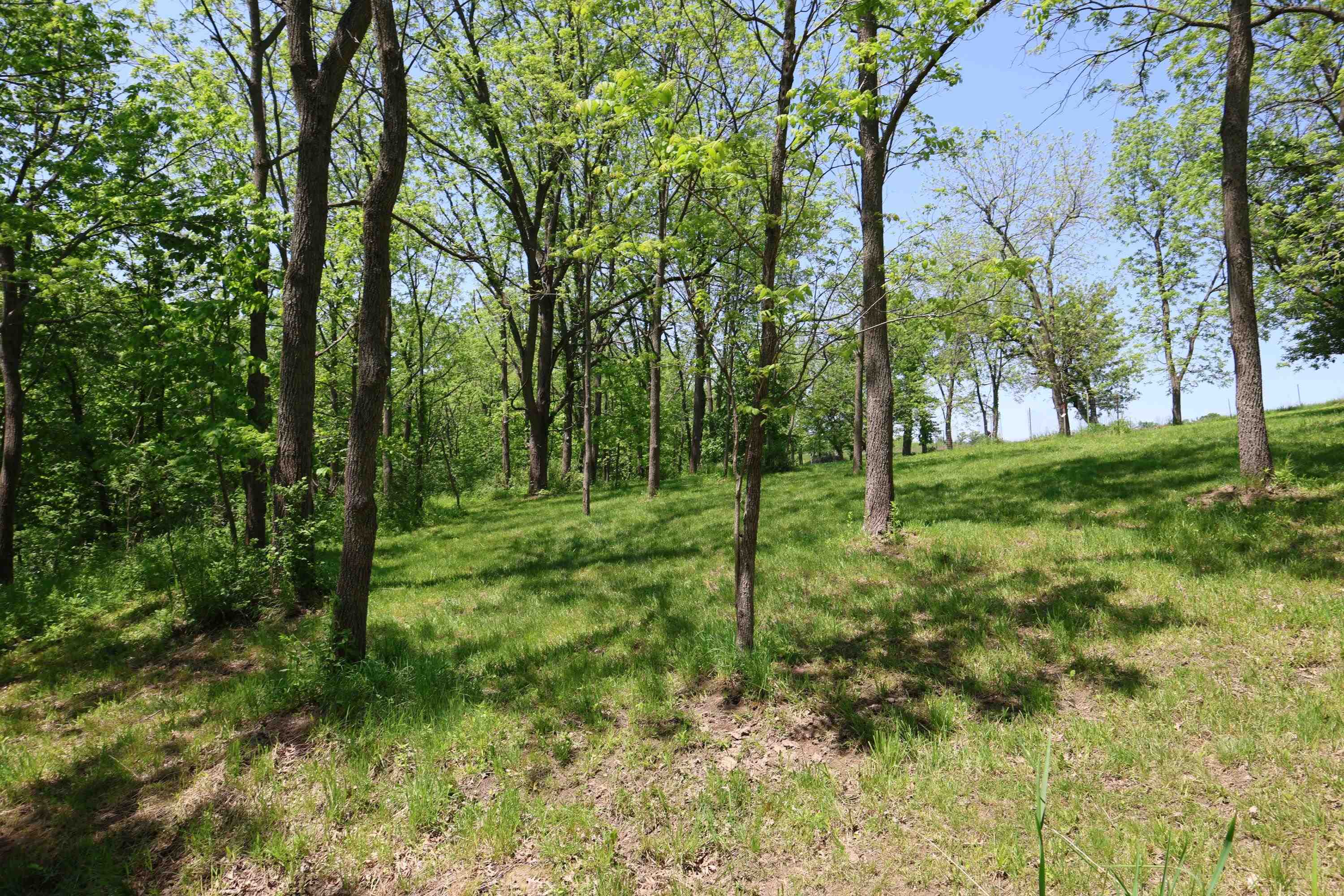 7469 Grant River Road Cassville, WI 53806 - Photo 59 of 62