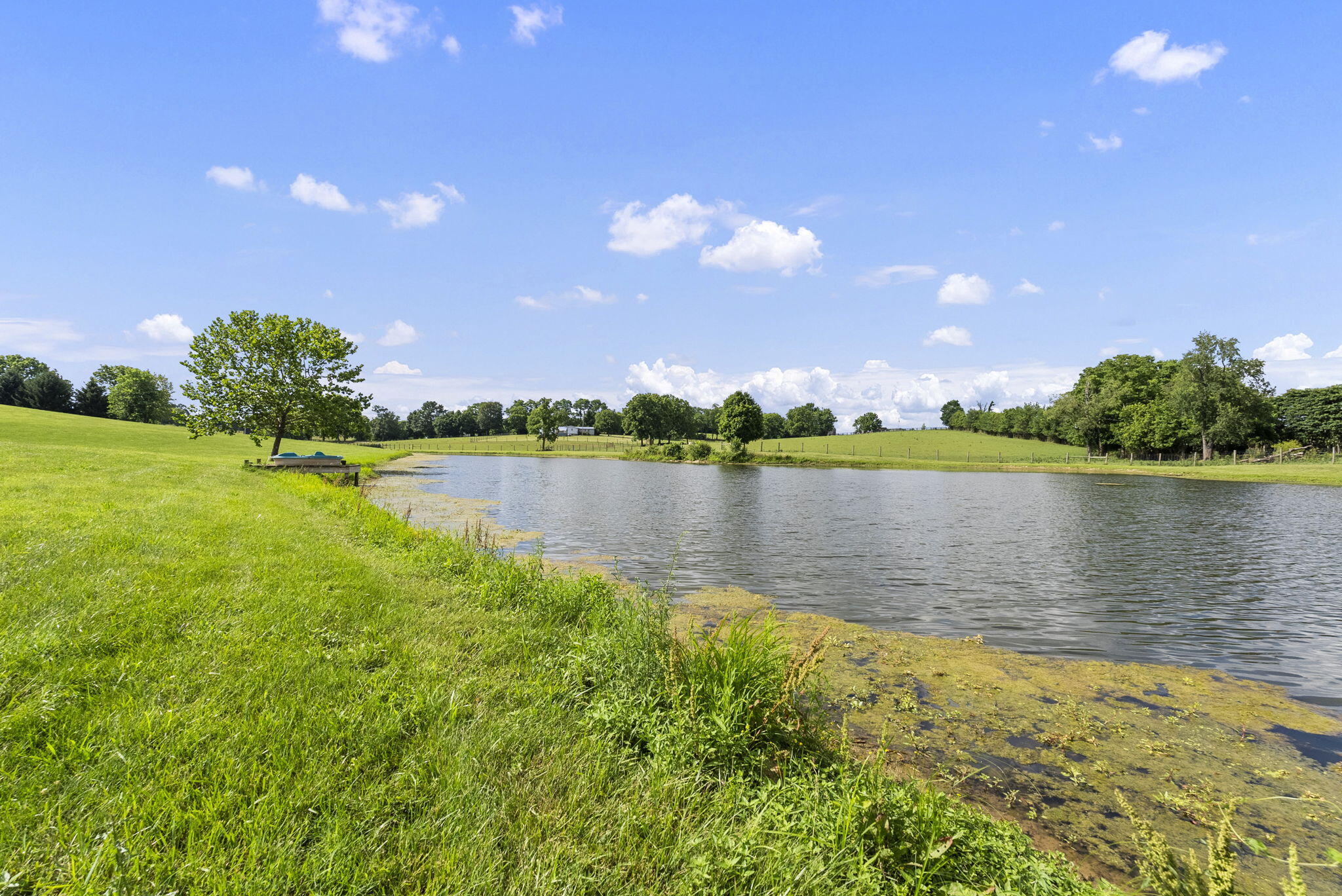 2155 Grays Run Pike Cynthiana, KY 41031 - Photo 107 of 129 107-web-or-mls-DSC05437