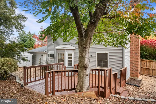 a view of a house with a small yard and a large tree