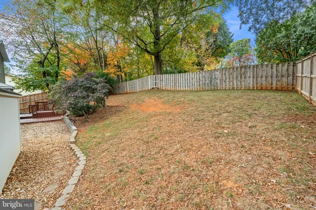a view of backyard with wooden fence and large trees