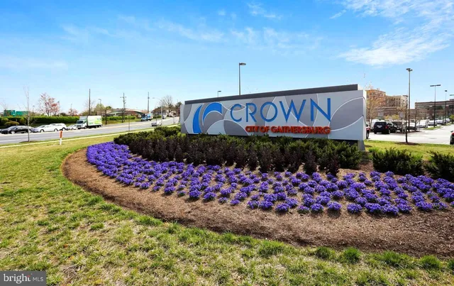 a outdoor space with lots of fruit and vegetables