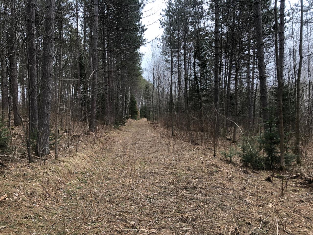 8 Old 8 Road Crandon, WI 54520 - Photo 29 of 39 Gallery Image 29