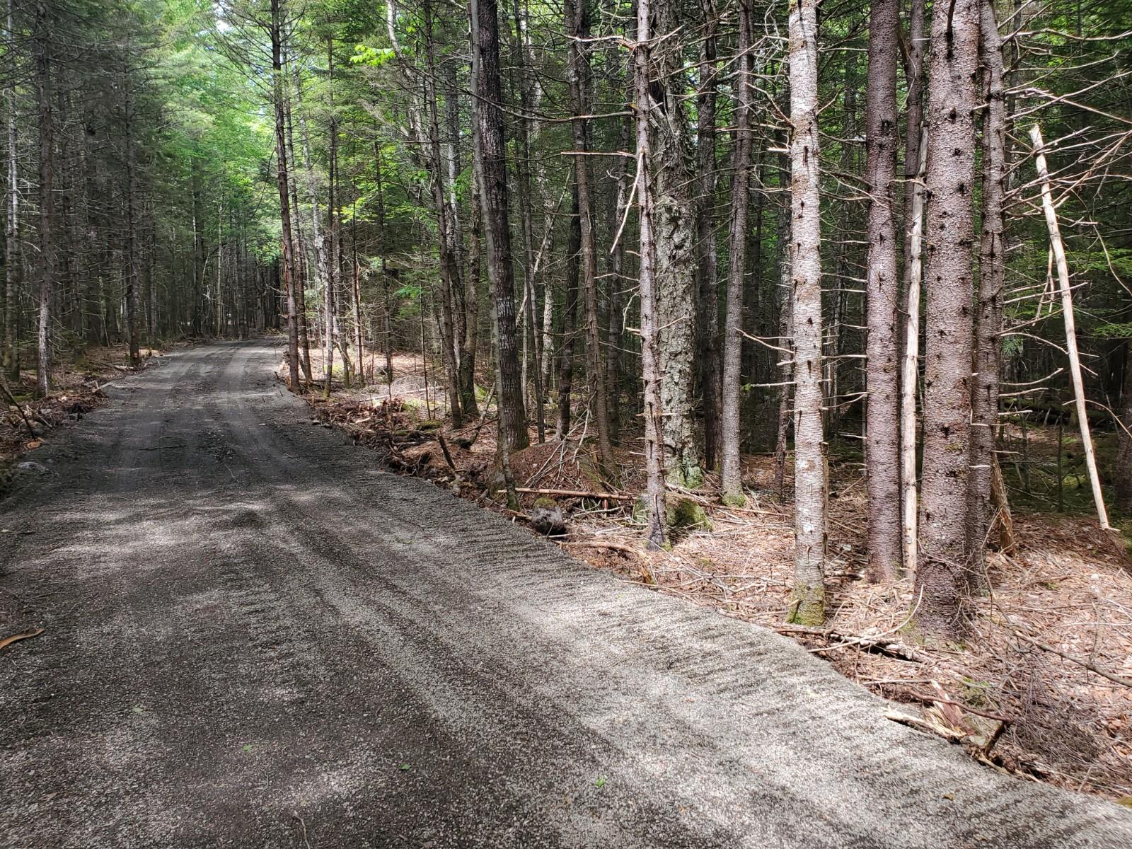 Lot # Carlow Road Wesley, ME 04686 - Photo 5 of 5 20210604_133620