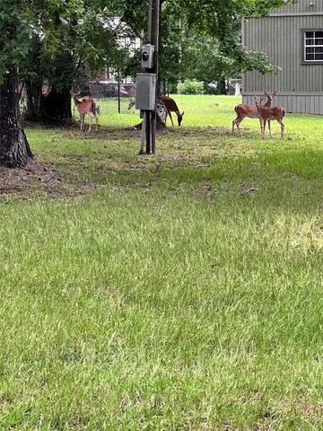 $32,000 | 147 Pine Trail, Trinity, TX 75862