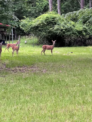 $32,000 | 147 Pine Trail, Trinity, TX 75862