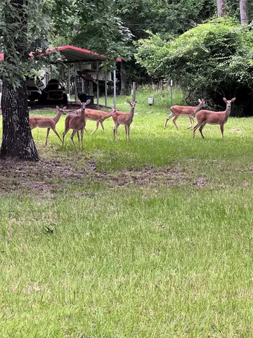 $32,000 | 147 Pine Trail, Trinity, TX 75862