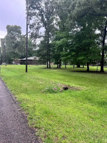 a view of a park with a tree
