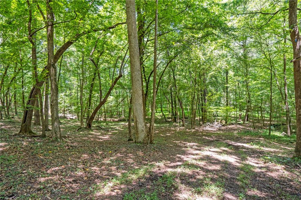 533 Mulberry Road Winder, GA 30680 - Photo 26 of 30