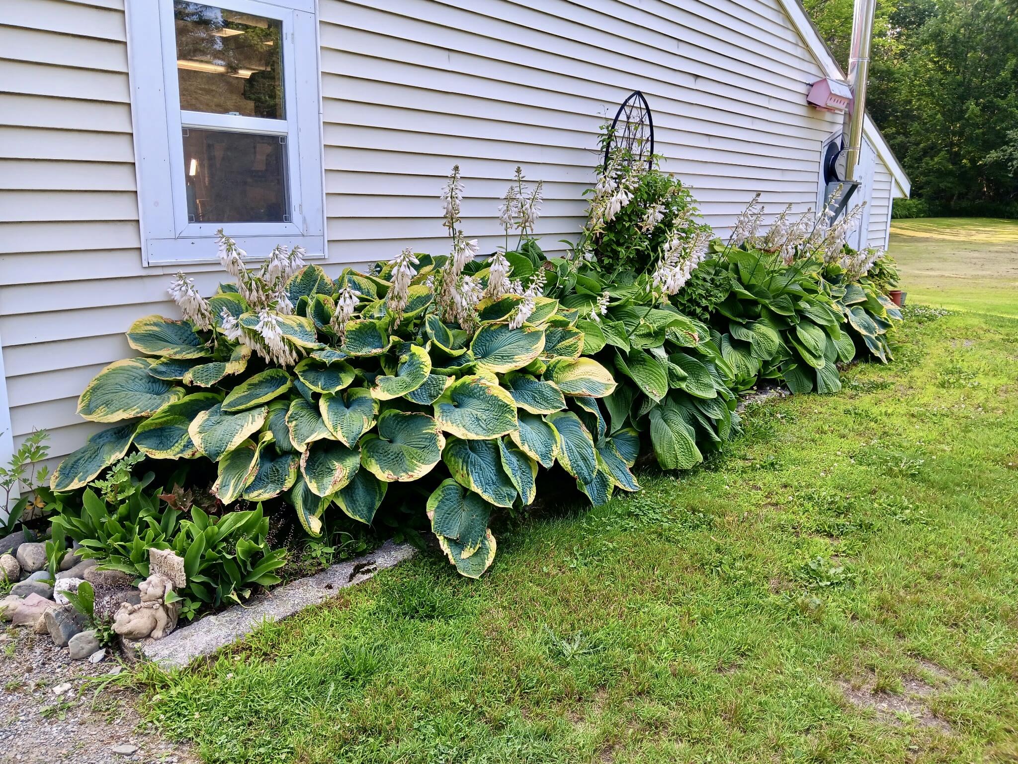 55 Christian Hill Road Charleston, ME 04422 - Photo 13 of 111