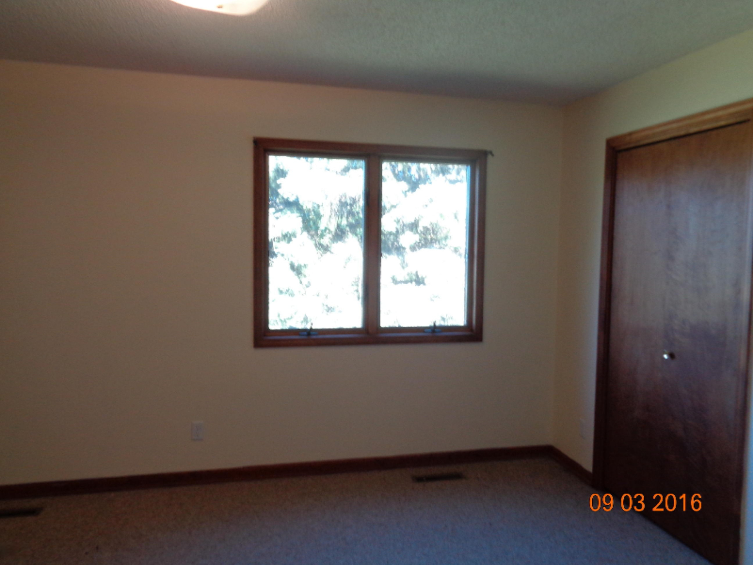 9935 Singer Lake Road Baroda, MI 49101 - Photo 12 of 29 DSC02289