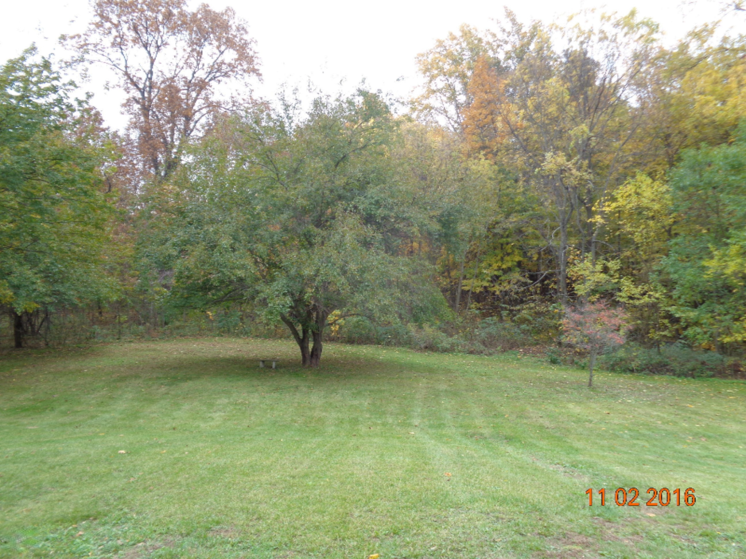 9935 Singer Lake Road Baroda, MI 49101 - Photo 27 of 29 DSC02590