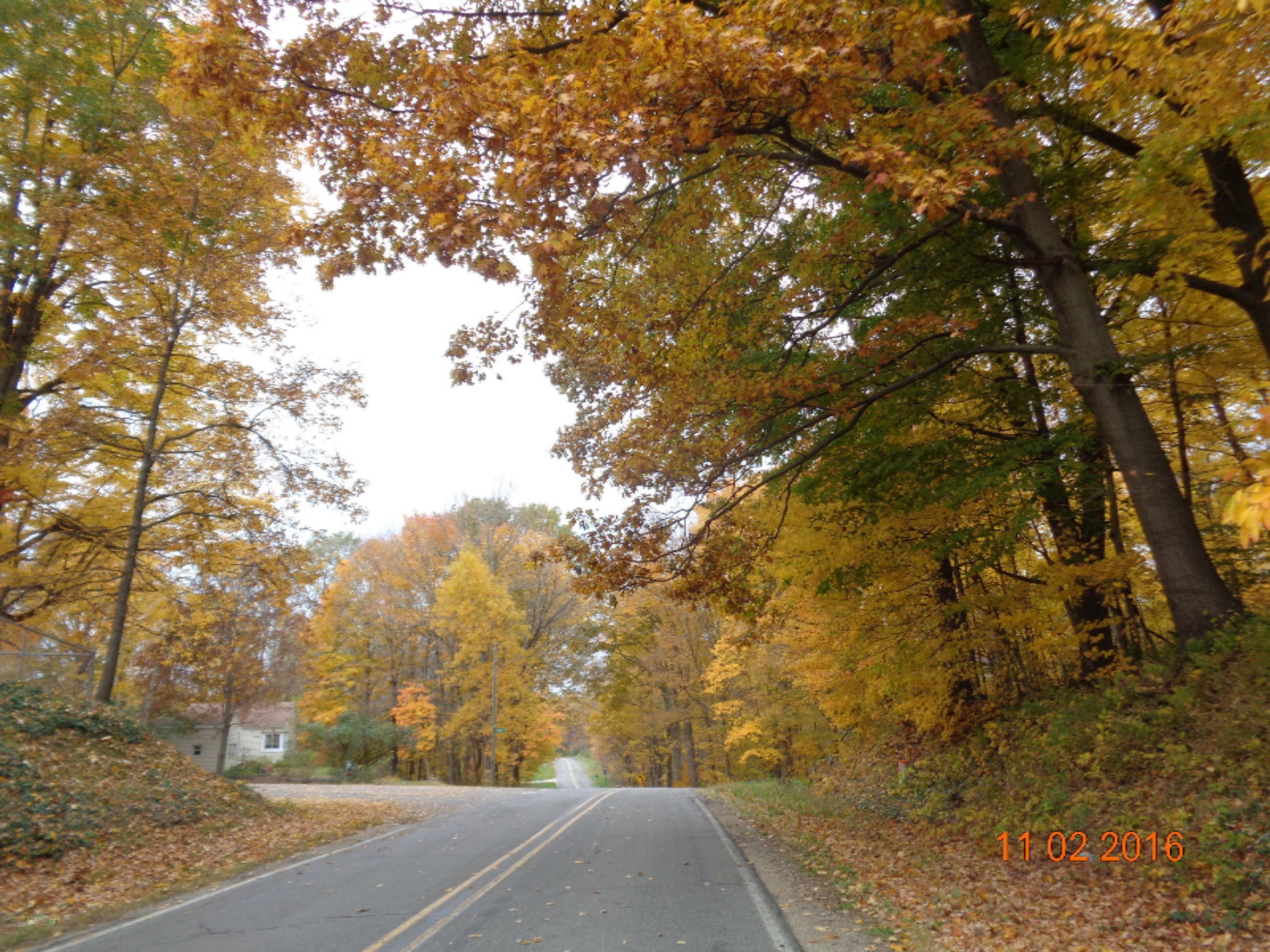 9935 Singer Lake Road Baroda, MI 49101 - Photo 4 of 29 DSC02585