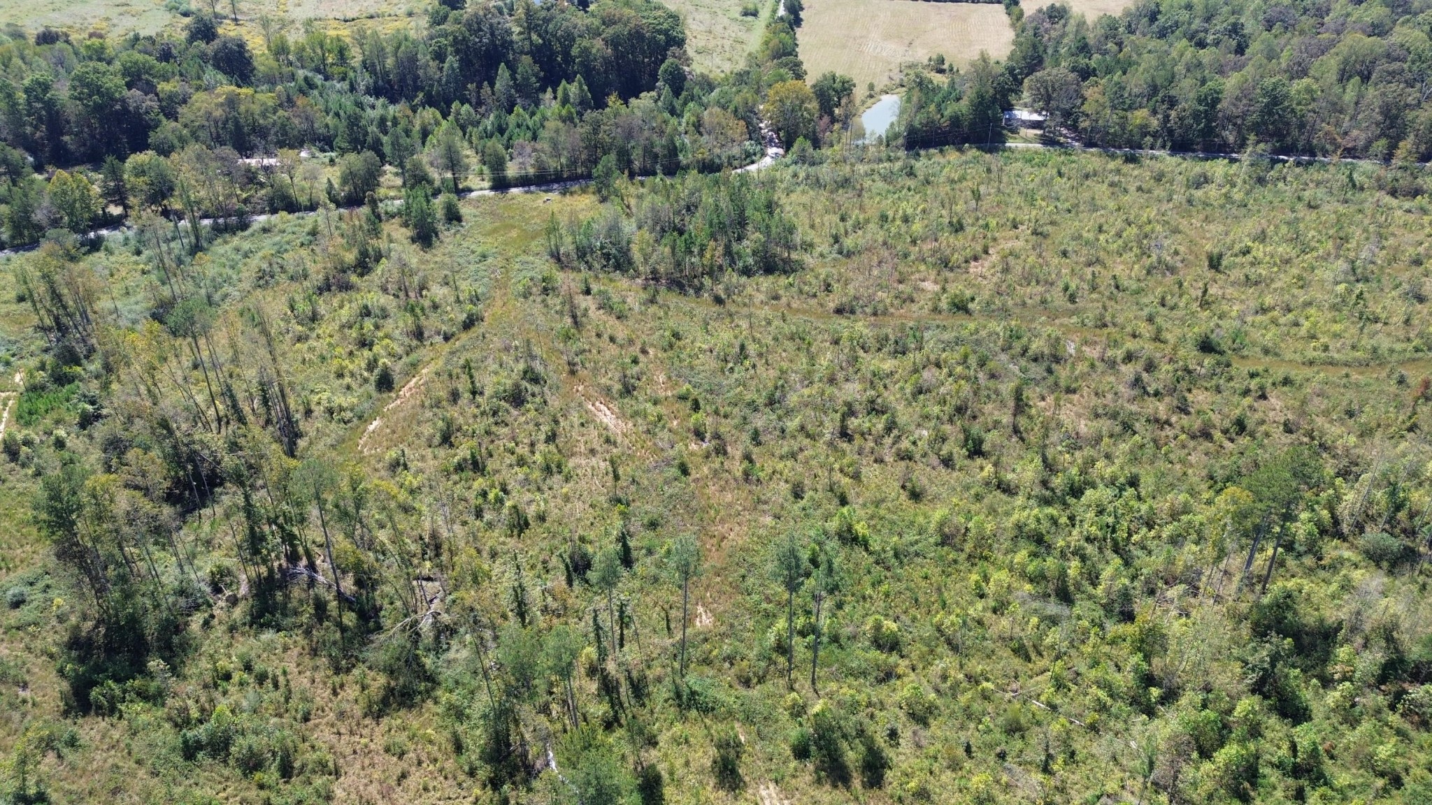 0 Carter Road Southeast Old Fort, TN 37362 - Photo 10 of 15 Gallery Image 10