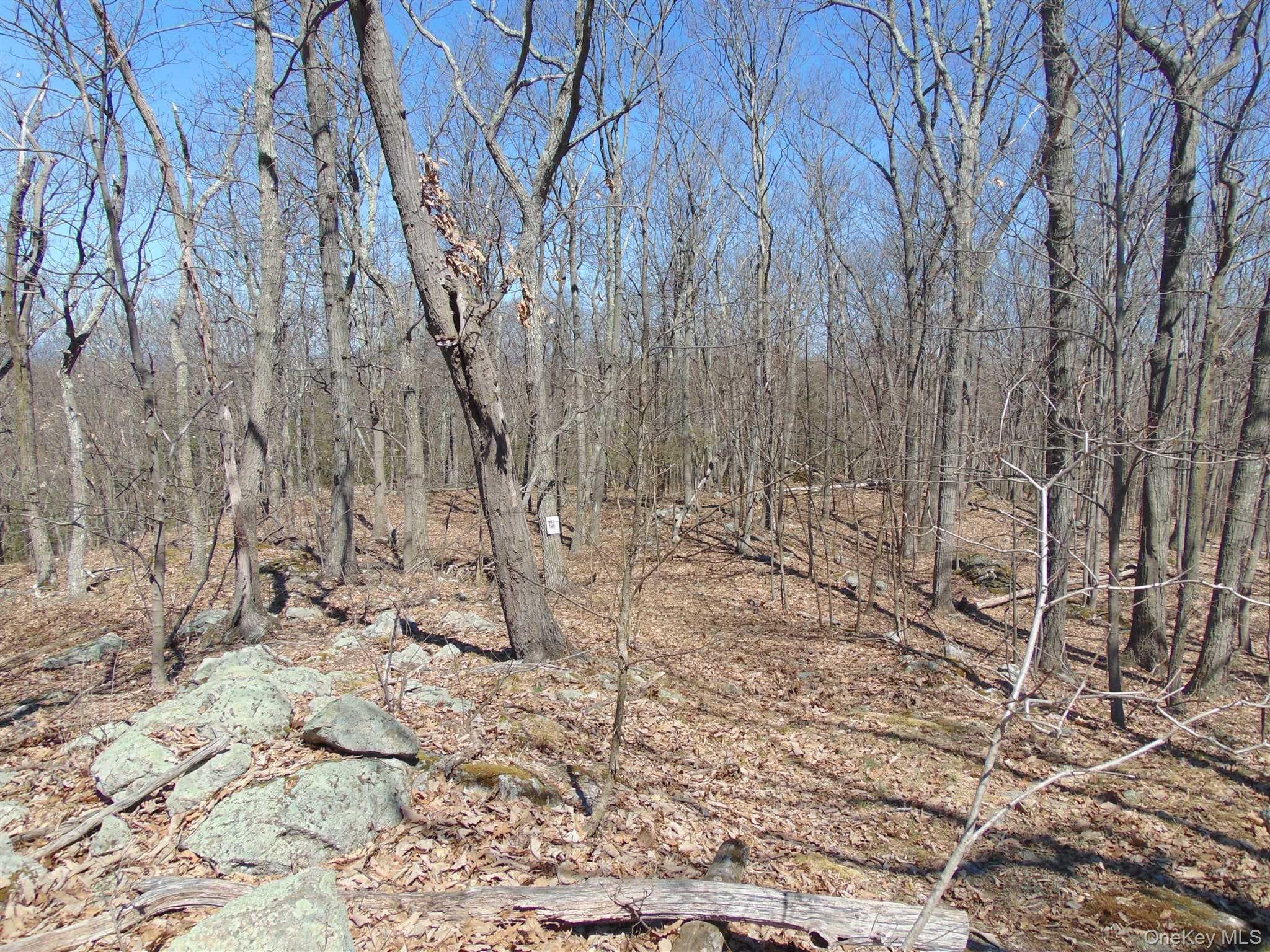 382 Cedar Hill Road Fishkill, NY 12524 - Photo 13 of 20