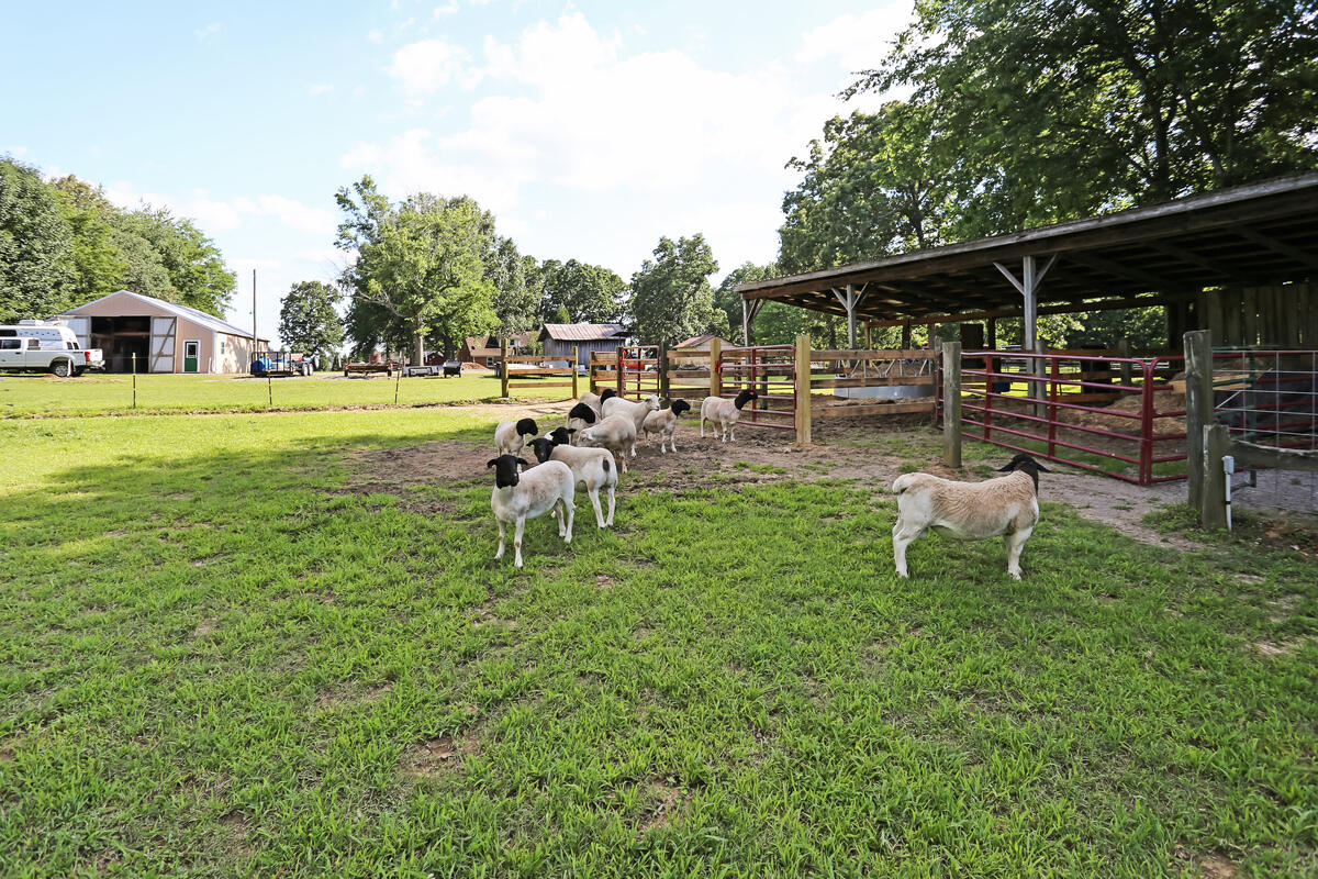 332 Jones Sparkman Road Murray, KY 42071 - Photo 37 of 40 IMG_5493