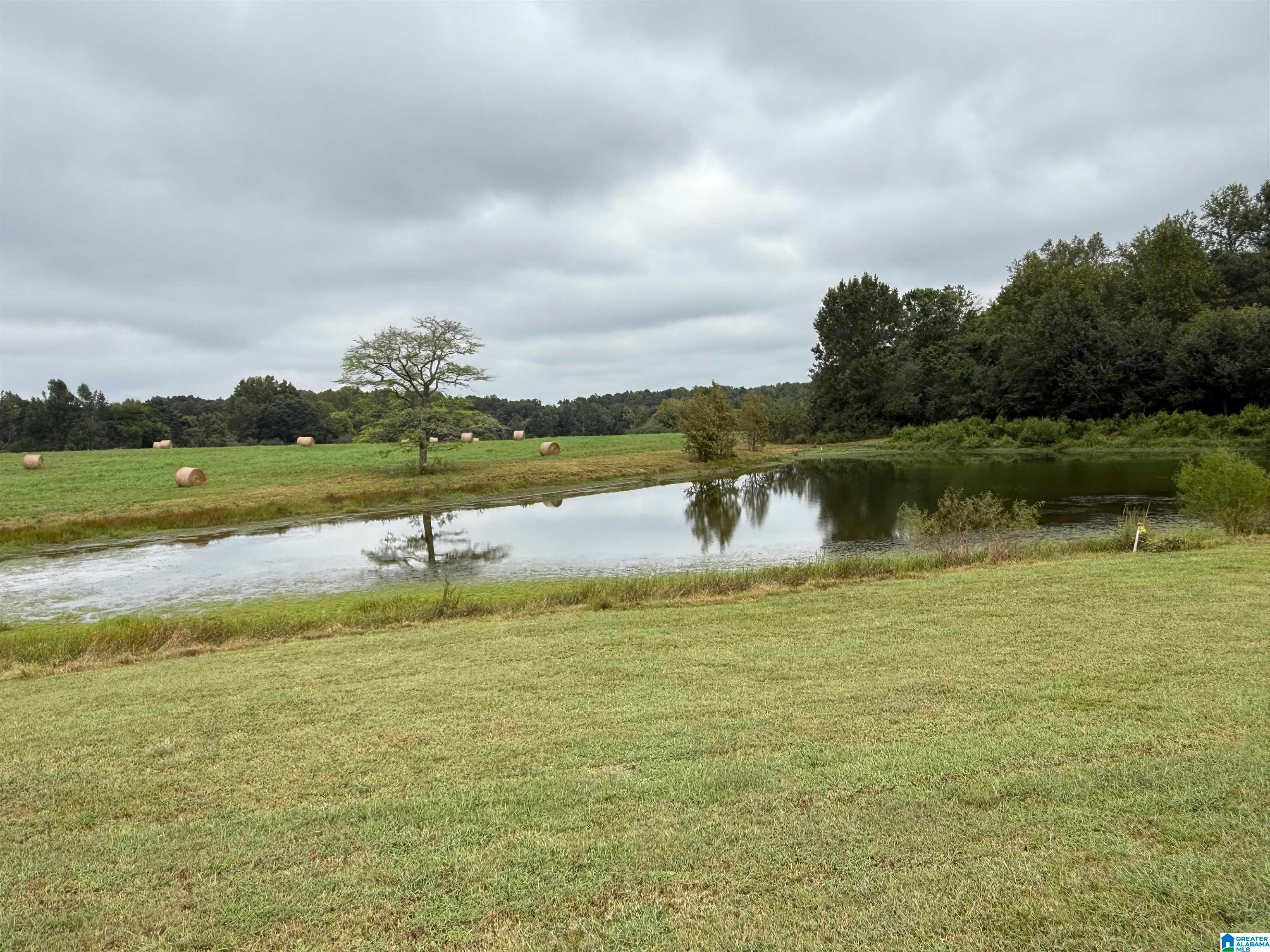 0 Schoolhouse Road Baileyton, AL 35019 - Photo 12 of 14 Gallery Image 12