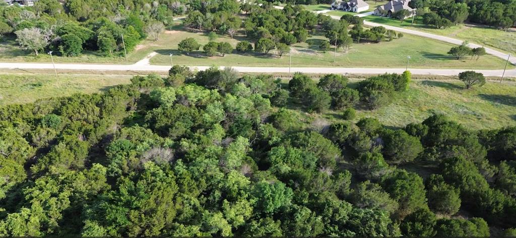 1129 County Road Nemo, TX 76070 - Photo 11 of 29 a view of a yard with a yard