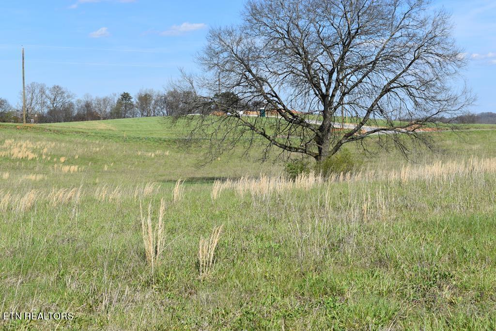 Lot 14 Temple Road Seymour, TN 37865 - Photo 1 of 3 Image 9-28-23 at 12.12 PM