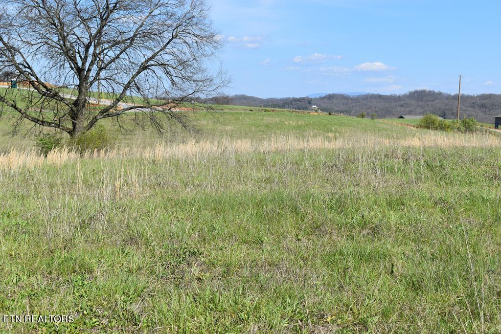 Lot 14 Temple Road Seymour, TN 37865 - Photo 2 of 3 Image 9-28-23 at 12.12 PM (1)