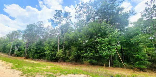 a view of backyard with green space
