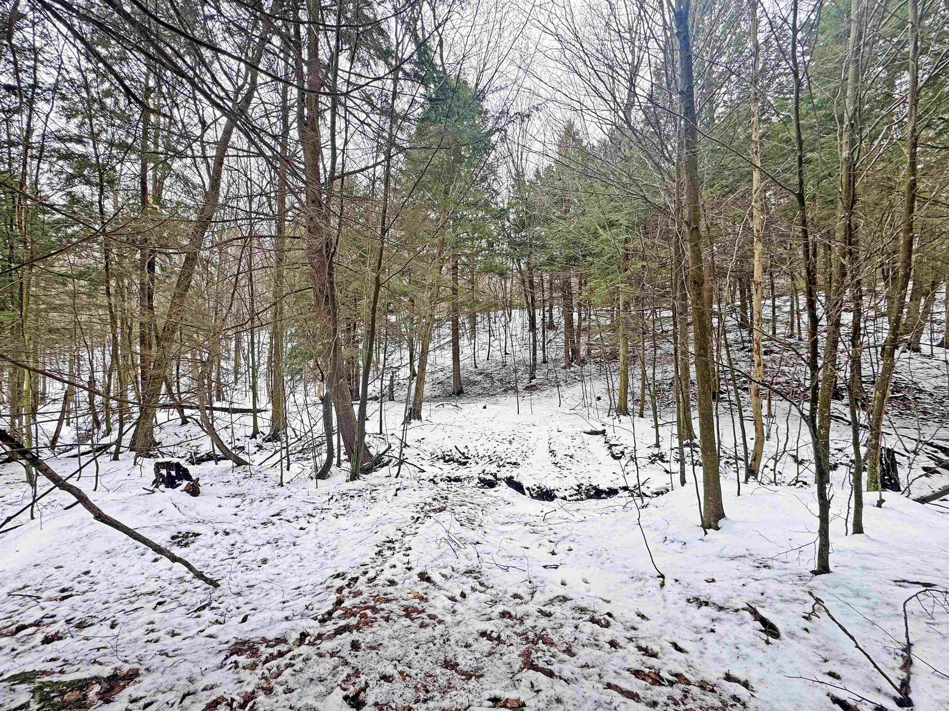 82-107 Moon Ridge Road, Unit LOT: 82,107 Onekama, MI 49675 - Photo 25 of 48