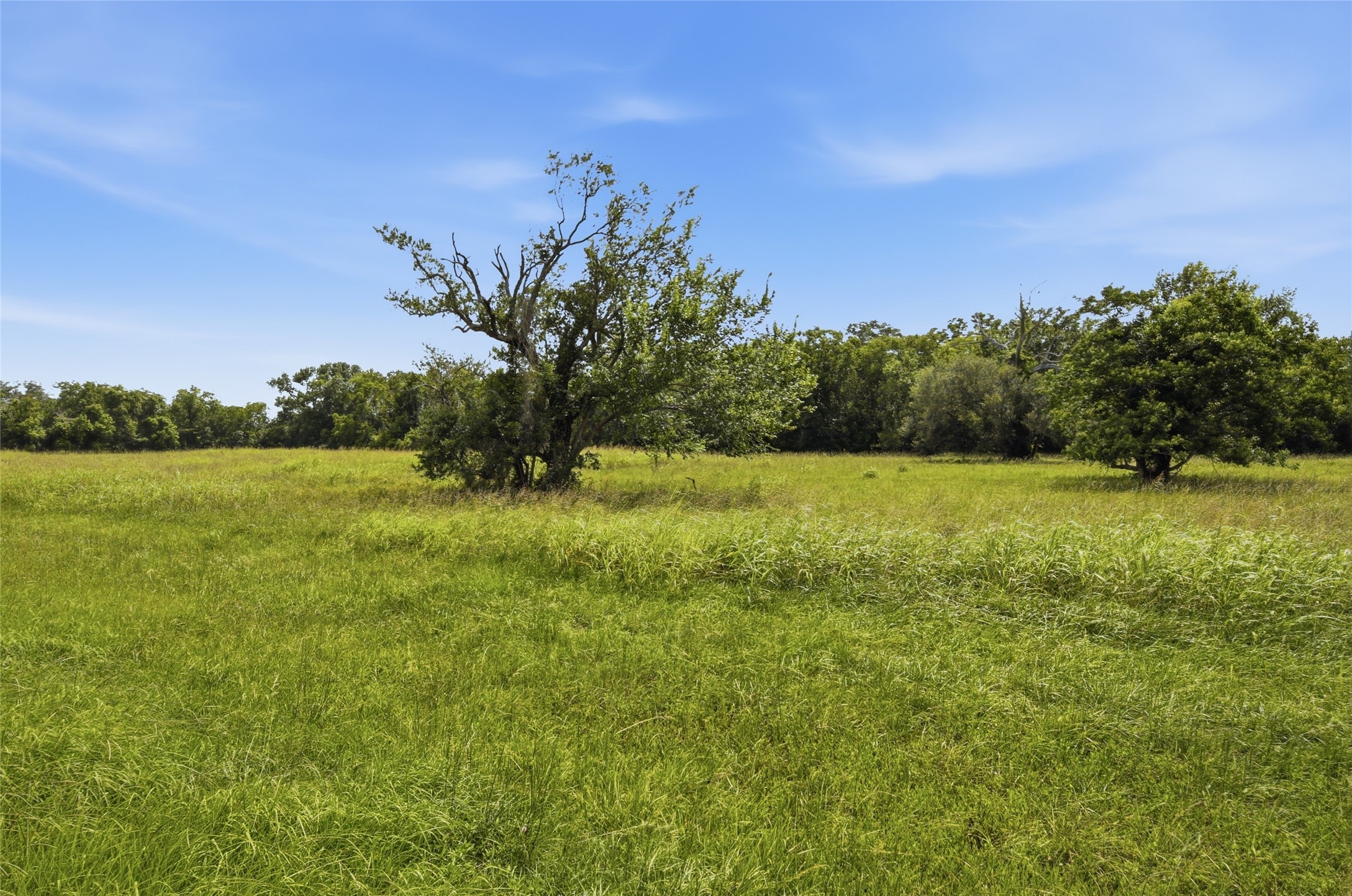 1011 West Farm To Market 1462 Rosharon, TX 77583 - Photo 6 of 12