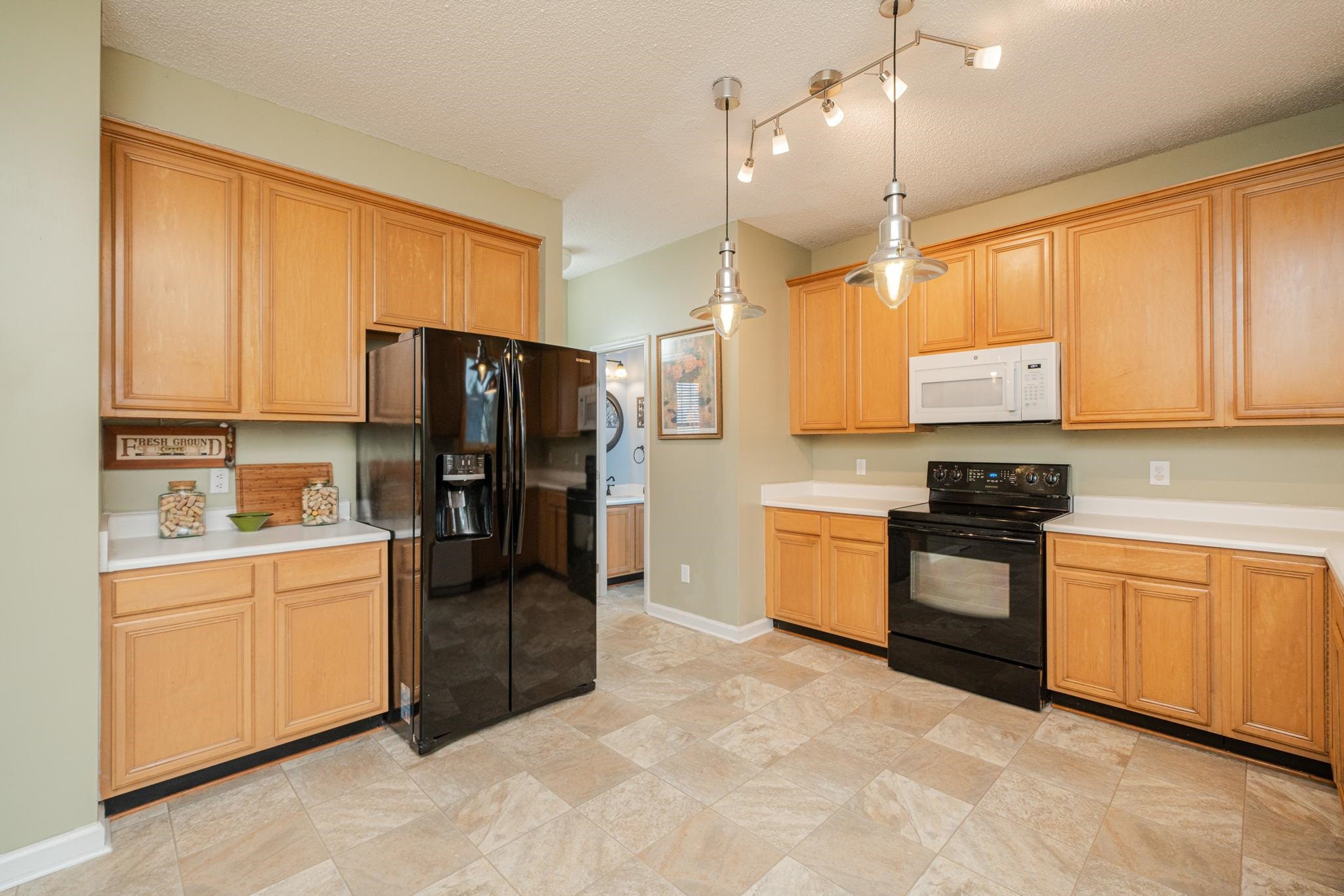 1301 Red Twig Road Apex, NC 27502 - Photo 9 of 42 Spacious Kitchen
