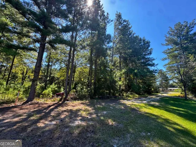 a view of an outdoor space with yard