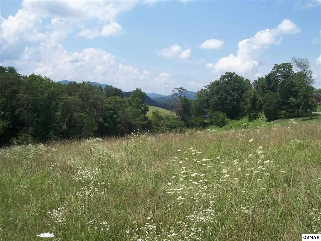7 Mortar Road Sevierville, TN 37876 - Photo 2 of 6