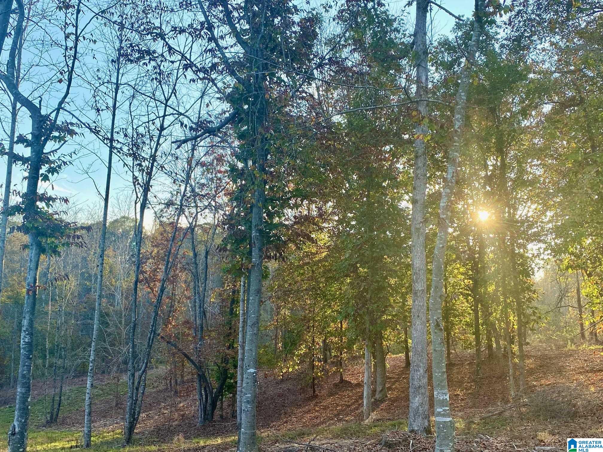 325 County Road 13 Heflin, AL 36264 - Photo 21 of 56